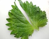 水菜のしそ巻き天作り方1写真