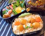 玄米栗入りご飯 中学生 秋弁当 詰め方作り方10写真