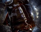 元ハンバーグ職人の牛ステーキの昆布締め作り方5写真
