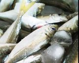 魚釣りの魚です。作り方1写真