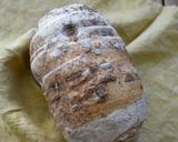 白だしで簡単！里芋（海老芋）の揚げ浸し作り方6写真