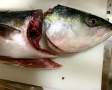 【基本】ブリの捌き方(三枚おろし)作り方5写真