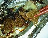 酒の肴にいかが？～イカワタのホイル焼き～作り方5写真