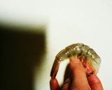 とっても簡単！！快感！！えびの下処理。作り方3写真