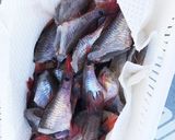 ネンブツダイ(など小魚)のコンソメ唐揚げ作り方2写真