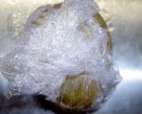 レンジでじゃがいものロースト明太子バター作り方6写真