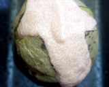 レンジでじゃがいものロースト明太子バター作り方14写真