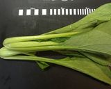 小松菜の煮浸し作り方8写真