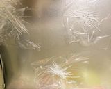 全てレンジ豚こま根菜春雨ストロガノフ炒風作り方6写真