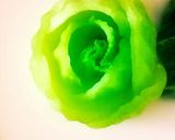 チンゲン菜とミルクのスープ作り方1写真