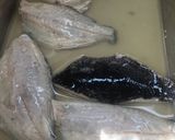 お魚寿司（グレ）作り方13写真