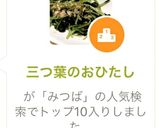 余った三つ葉で簡単おひたし作り方5写真