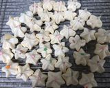 メレンゲクッキー作り方7写真