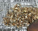 鰯の糠漬け作り方4写真