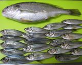 豆アジの南蛮漬け作り方1写真