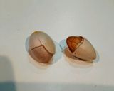 失敗しない銀杏の割り方作り方7写真