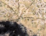 ズキーニフリタータ作り方7写真