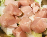 鶏肉と白菜のちょっと鍋＋残念な味つけ海苔作り方2写真