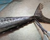 愛知の魚100 サワラのなめろう作り方4写真