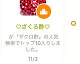 ♡ざくろ酢♡作り方9写真