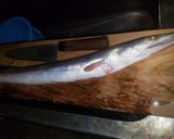 ハモをお椀で!漁師飯作り方1写真