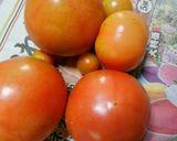 青いトマトを赤くする方法作り方2写真