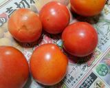 青いトマトを赤くする方法作り方4写真