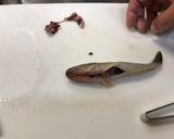 旦那のお手製 ハゼの焼き干し作り方3写真