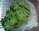 ★レタスの保存★作り方10写真