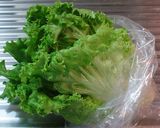 ★レタスの保存★作り方13写真