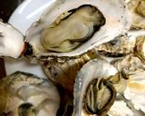 牡蠣の豆腐グラタン風作り方1写真