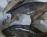 魚釣りの魚です。作り方11写真