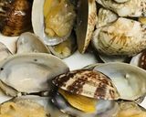ほぼアサリだけでつくるボンゴレビアンコ作り方3写真