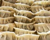 栃木餃子専門店の妹直伝うまうま餃子作り方3写真