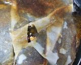 かれいの煮付け作り方6写真