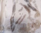 謹製…いかの塩辛～柚子香る作り方7写真