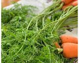 絶品！にんじん葉とにんにくの炒め物作り方4写真