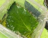 簡単・男飯・大葉の浅漬け(ご飯のお供)作り方1写真