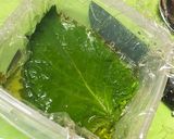簡単・男飯・大葉の浅漬け(ご飯のお供)作り方1写真