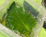 簡単・男飯・大葉の浅漬け(ご飯のお供)作り方1写真