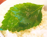 簡単・男飯・大葉の浅漬け(ご飯のお供)作り方2写真