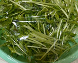 豆苗ともやしのナムル作り方3写真