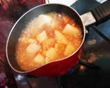 大根と胸肉と厚揚げの甘煮物作り方3写真