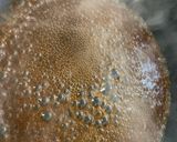 ゴボウの甘辛煮★作り方6写真