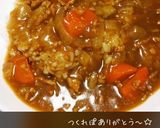 必ず3社の市販ルウをミックス☆挽肉カレー作り方18写真