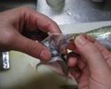 鯵の大名おろし作り方8写真