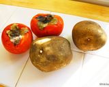 とろとろ完熟柿とジャガイモのポタージュ作り方1写真