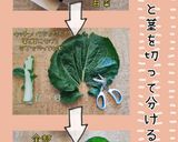 白菜の葉の青汁(簡単)作り方2写真