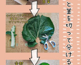 白菜の葉の青汁(簡単)作り方2写真
