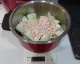 冬瓜の鶏ひき肉あんかけ〔ホットクック〕作り方4写真